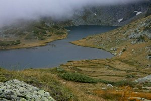 IMG_8163.jpg