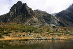 IMG_8314.jpg