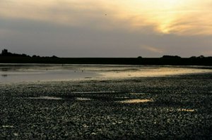 IMG_9441.jpg