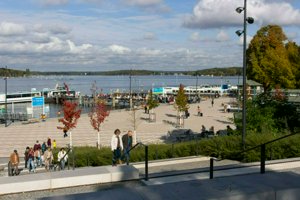 IMG_6263.jpg