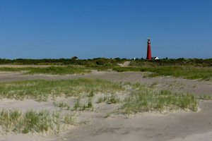 IMG_9333.jpg