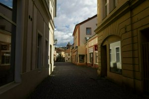 IMG_6830.jpg