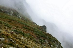 IMG_7962.jpg