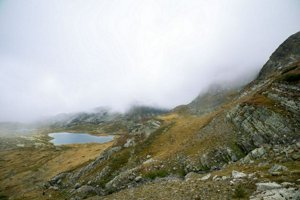 IMG_8032.jpg