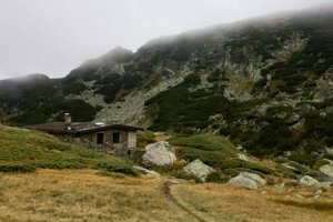 IMG_8373.jpg