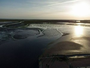 DJI_0565.jpg