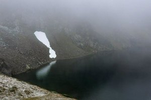 IMG_7922.jpg