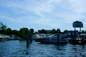IMG_1516.jpg