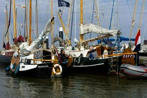 IMG_9462.jpg