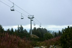 IMG_8424.jpg
