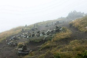 IMG_7520.jpg