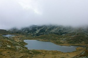 IMG_7961.jpg