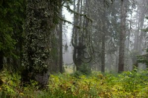 IMG_7308.jpg