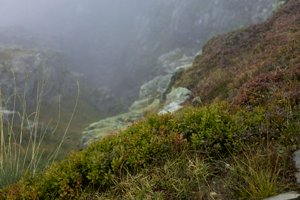 IMG_7661.jpg