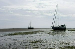 IMG_9909.jpg