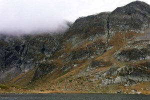 IMG_8296.jpg