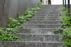 IMG_7172.jpg