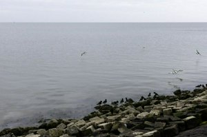 IMG_5804.jpg