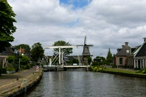 IMG_9035.jpg