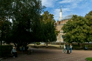 IMG_6270.jpg