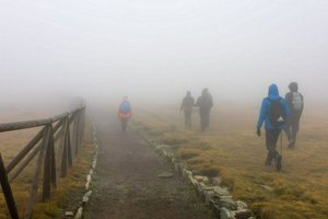 IMG_7571.jpg