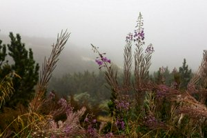 IMG_8399.jpg