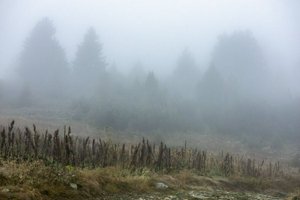 IMG_7347.jpg