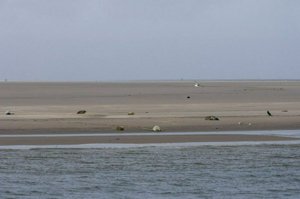 IMG_7440.jpg