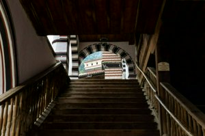 IMG_6546.jpg