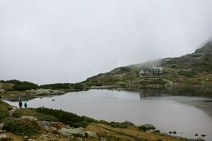 IMG_8393.jpg
