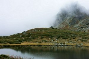 IMG_8271.jpg