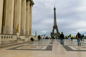 IMG_7849.jpg