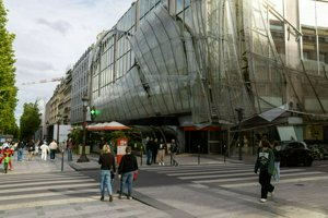 IMG_7871.jpg