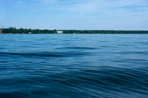 IMG_1562.jpg