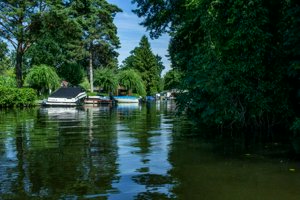 IMG_1611.jpg
