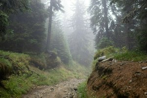 IMG_7326.jpg
