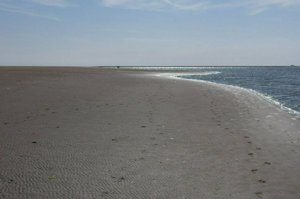 IMG_9313.jpg