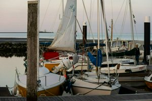 IMG_9453.jpg