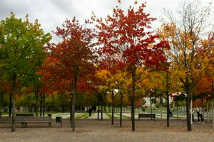 IMG_6450.jpg