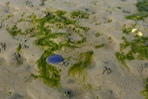 IMG_9910.jpg