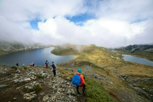 IMG_8050.jpg