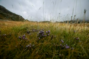 IMG_8349.jpg