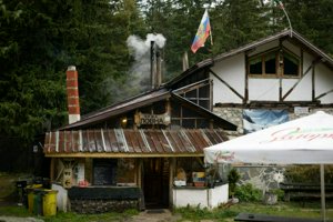 IMG_7278.jpg