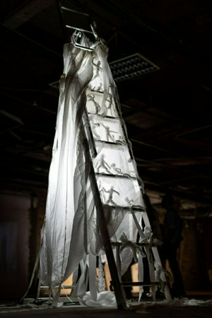IMG_1532.jpg