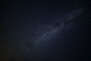 IMG_4529.jpg