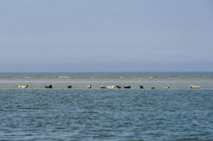 IMG_9688.jpg