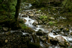 IMG_6720.jpg