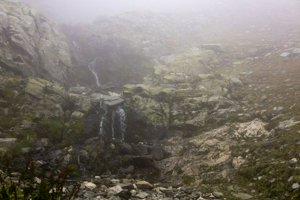 IMG_7932.jpg