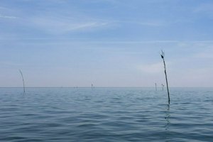 IMG_9818.jpg