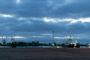 IMG_9169.jpg